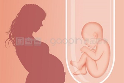 http://shijiazhuang.hy-ly.com/post/208.html|石家庄人工试管