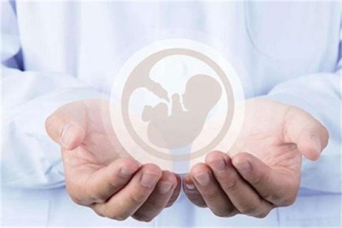 http://shijiazhuang.hy-ly.com/post/203.html|石家庄试管助孕