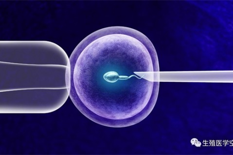 女人石家庄代生孩子的最佳年龄段 一辈子生几个孩子最好
